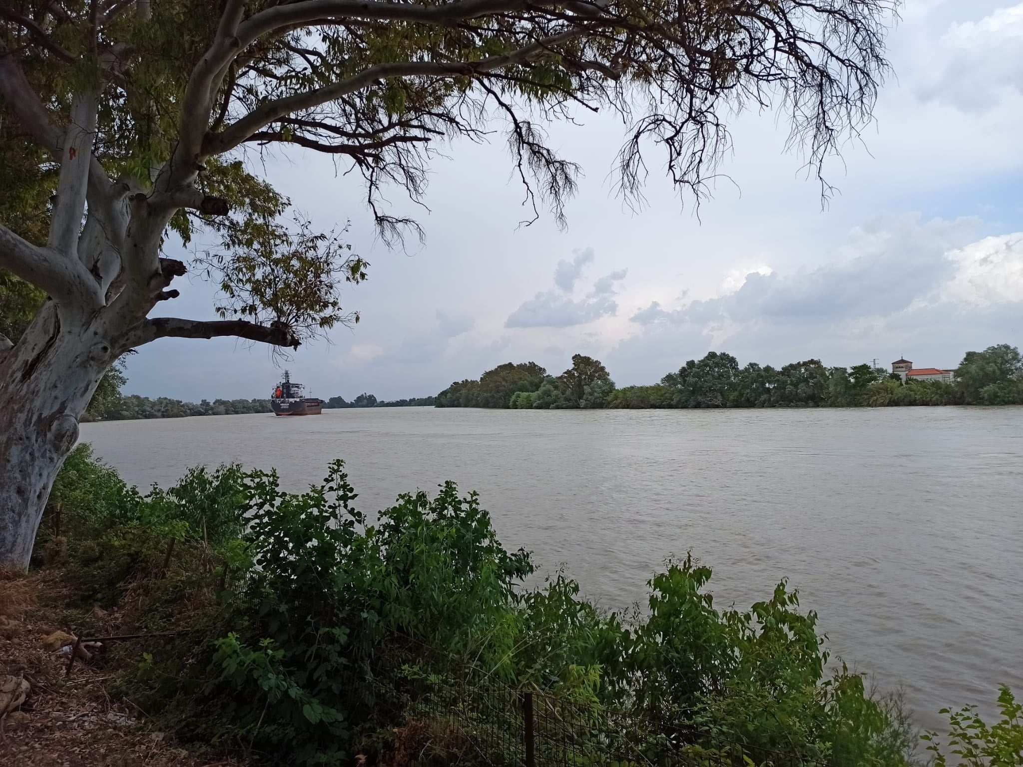 Hallan el cadáver de un hombre en el Guadalquivir con una bolsa de ladrillos atada al cuello Hallan el cadáver de un hombre en el Guadalquivir con una bolsa de ladrillos atada al cuello