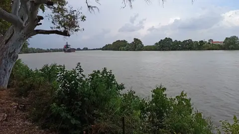 Imagen del cauce del río Guadalquivir Imagen del cauce del río Guadalquivir