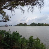 Imagen del cauce del río Guadalquivir Imagen del cauce del río Guadalquivir