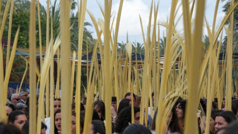 Domingo de Ramos en Elche