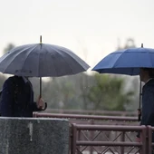 Varias se protegen de la lluvia con un paraguas en Sevilla (España) Varias se protegen de la lluvia con un paraguas en Sevilla (España)
