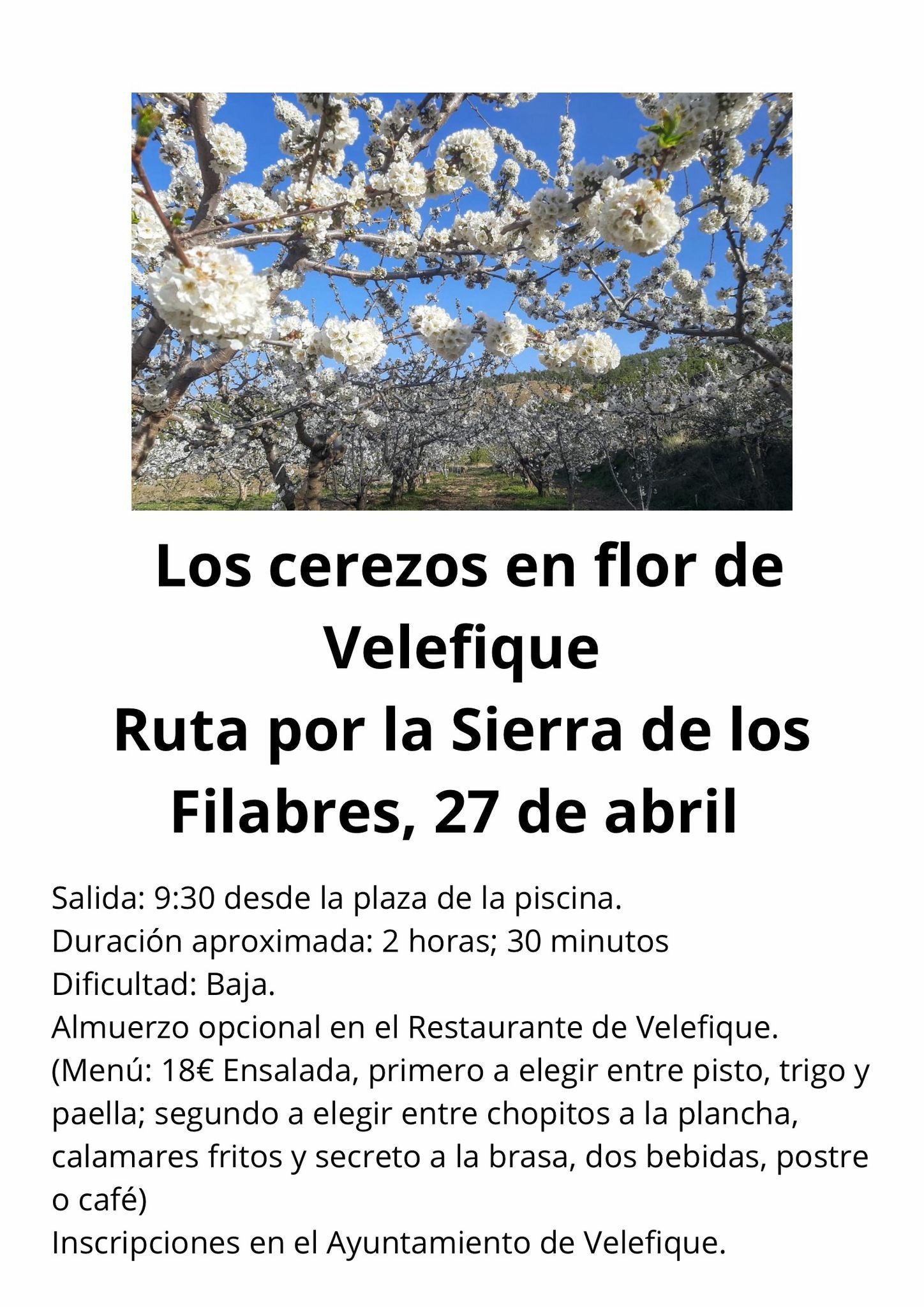 La ruta de floración da sus frutos en Velefique La ruta de floración da sus frutos en Velefique
