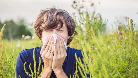 Madrid incluye información sobre los niveles de polen en la Tarjeta Sanitaria Virtual Madrid incluye información sobre los niveles de polen en la Tarjeta Sanitaria Virtual