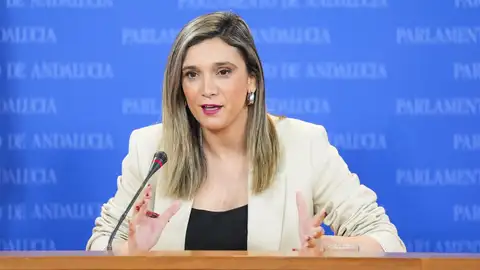La portavoz del Grupo Parlamentario Socialista, María Márquez, en rueda de prensa en el Parlamento. (Foto de archivo La portavoz del Grupo Parlamentario Socialista, María Márquez, en rueda de prensa en el Parlamento. (Foto de archivo