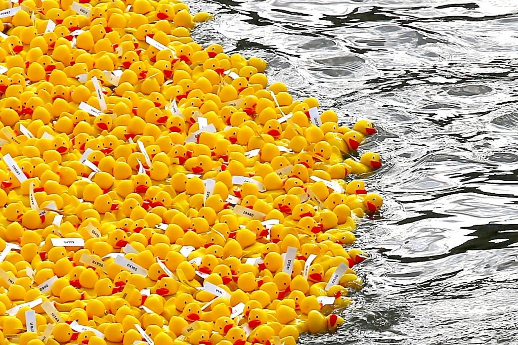 La I Estropatada de Zaragoza promete ser una fiesta solidaria y de color La I Estropatada de Zaragoza promete ser una fiesta solidaria y de color