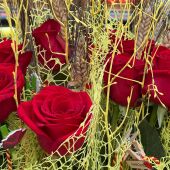 Sant Jordi 2025: carrers plens de gom a gom, roses i llibres 