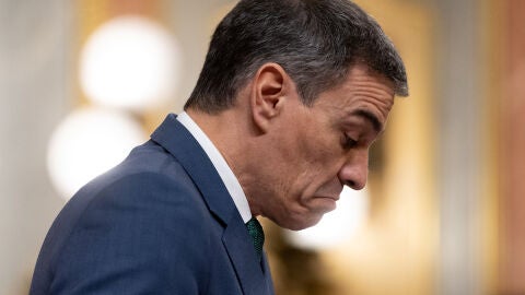 Pedro S&aacute;nchez