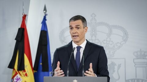 Pedro S&aacute;nchez