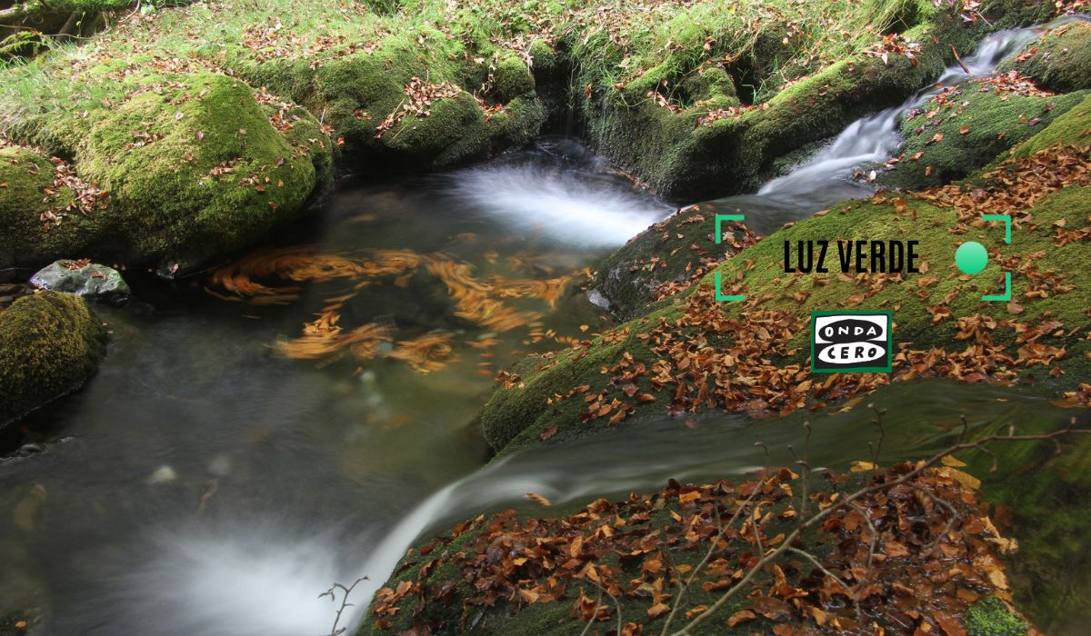Patrimonio natural de Euskadi Patrimonio natural de Euskadi
