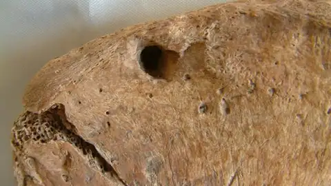 Descubren los restos de un gladiador que luchó contra un león en un espectáculo romano. Maynooth University Descubren los restos de un gladiador que luchó contra un león en un espectáculo romano. Maynooth University