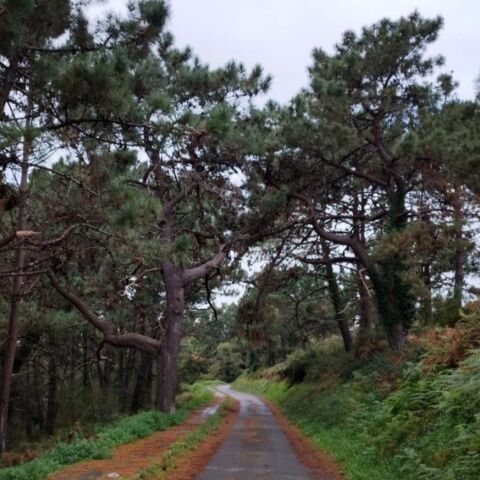 De ruta con Superkarmen siguiendo el curso del río Ouro en Foz