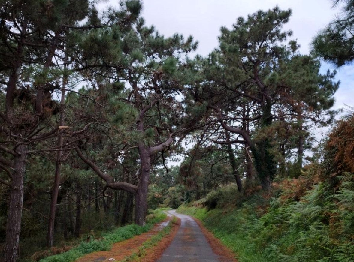 De ruta con Superkarmen siguiendo el curso del río Ouro en Foz De ruta con Superkarmen siguiendo el curso del río Ouro en Foz