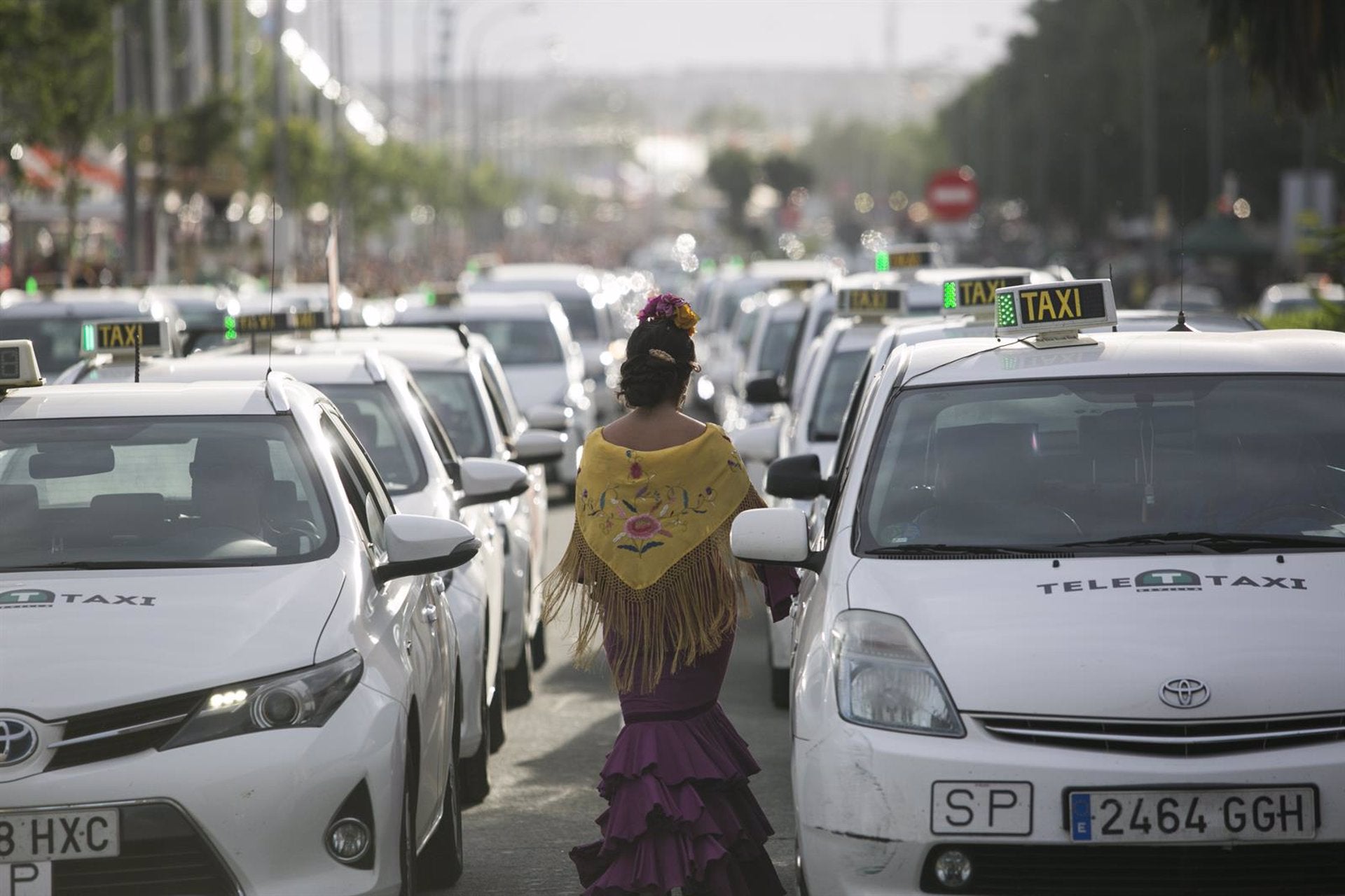 Seguridad privada en paradas de taxi de la Feria, con una nueva en Costillares, y lanzadera con Sevilla Este Seguridad privada en paradas de taxi de la Feria, con una nueva en Costillares, y lanzadera con Sevilla Este