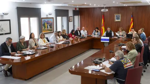 El pleno de l’Alfàs aprueba por unanimidad el Plan de Emergencia para actuar ante situaciones de sequía El pleno de l’Alfàs aprueba por unanimidad el Plan de Emergencia para actuar ante situaciones de sequía