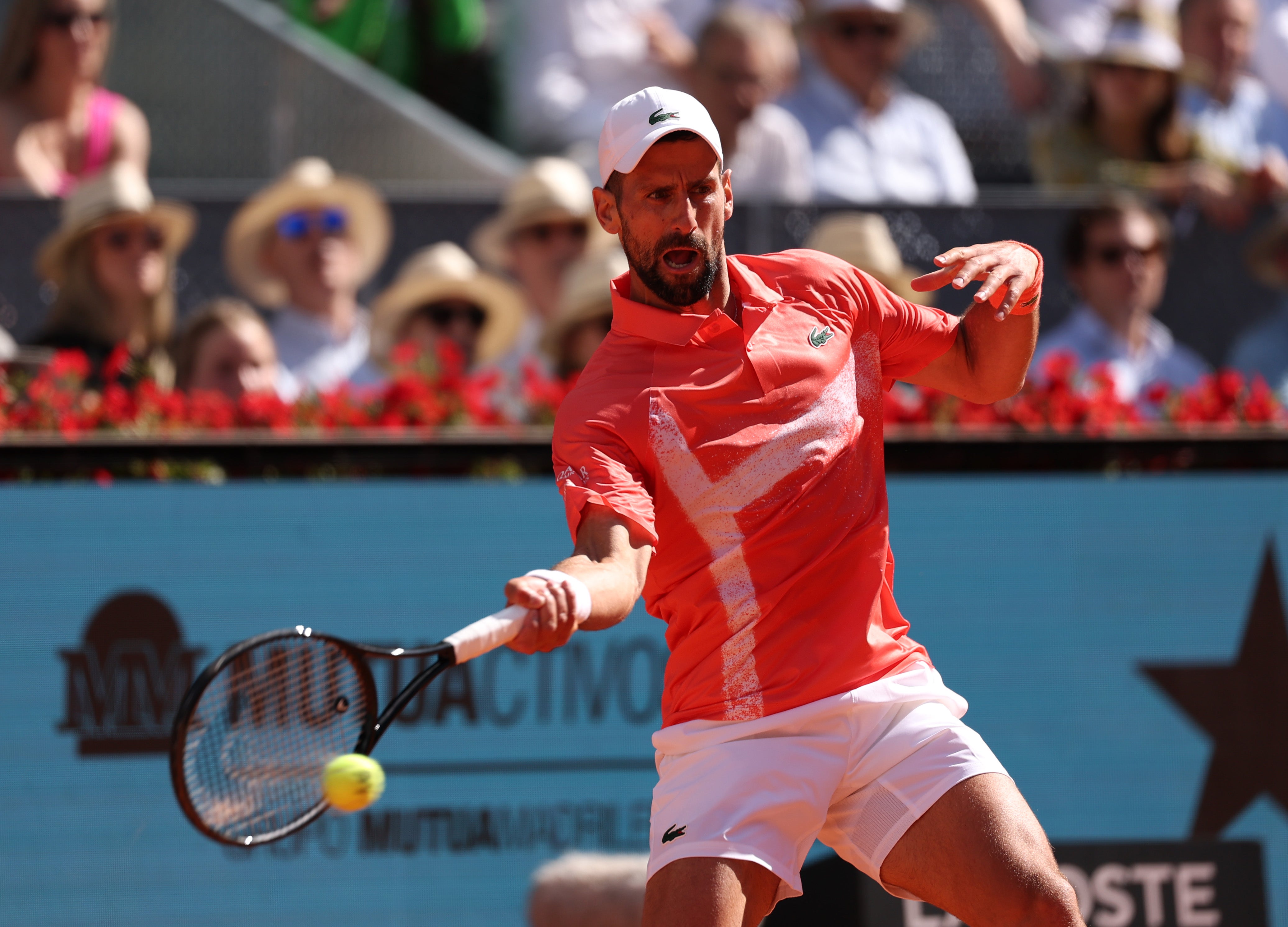 Djokovic cae ante Arnaldi y dice adiós a Madrid Djokovic cae ante Arnaldi y dice adiós a Madrid