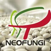 Neofungi