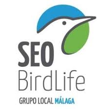 Conocemos al Grupo Local SEO Birdlife Málaga Conocemos al Grupo Local SEO Birdlife Málaga
