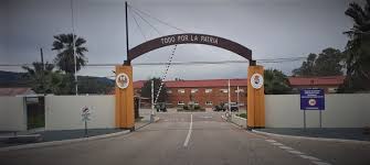 Un total de 1.452 alumnos se incorporan al Cefot de Cáceres el lunes 5 de mayo para su formación militar Un total de 1.452 alumnos se incorporan al Cefot de Cáceres el lunes 5 de mayo para su formación militar