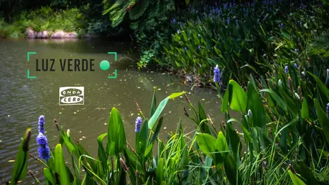 Red de estanques escolares Red de estanques escolares