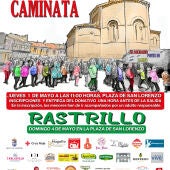 XXIII Caminata