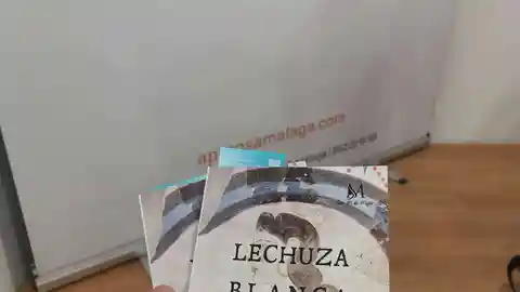 La obra “Lechuza blanca sobre Argos” muestra cómo los mitos del pasado inspiran nuestro presente La obra “Lechuza blanca sobre Argos” muestra cómo los mitos del pasado inspiran nuestro presente
