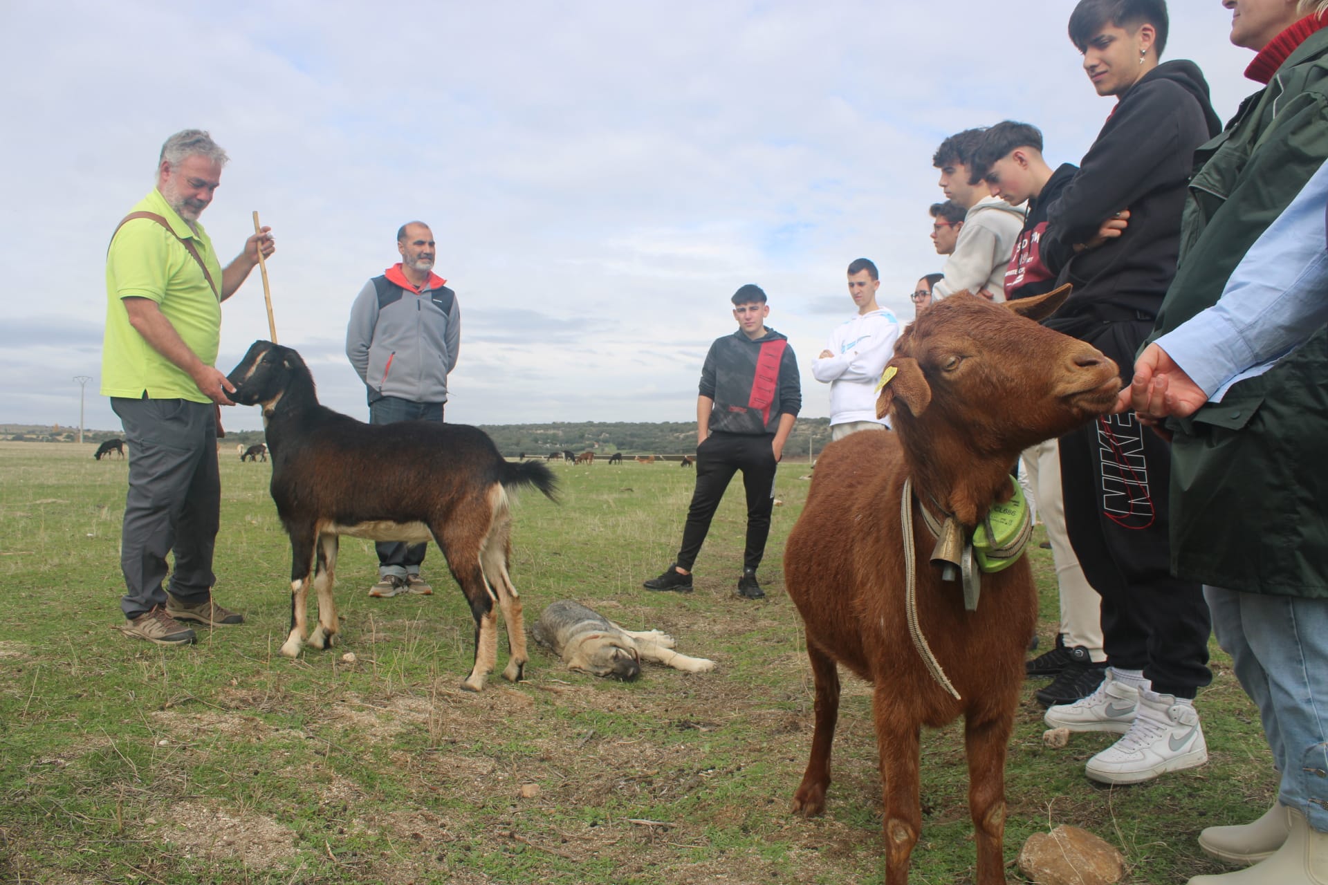 Aguilar de Campoo acogerá la segunda edición de la Escuela de Pastores del proyecto Reactiva Brañosera Aguilar de Campoo acogerá la segunda edición de la Escuela de Pastores del proyecto Reactiva Brañosera