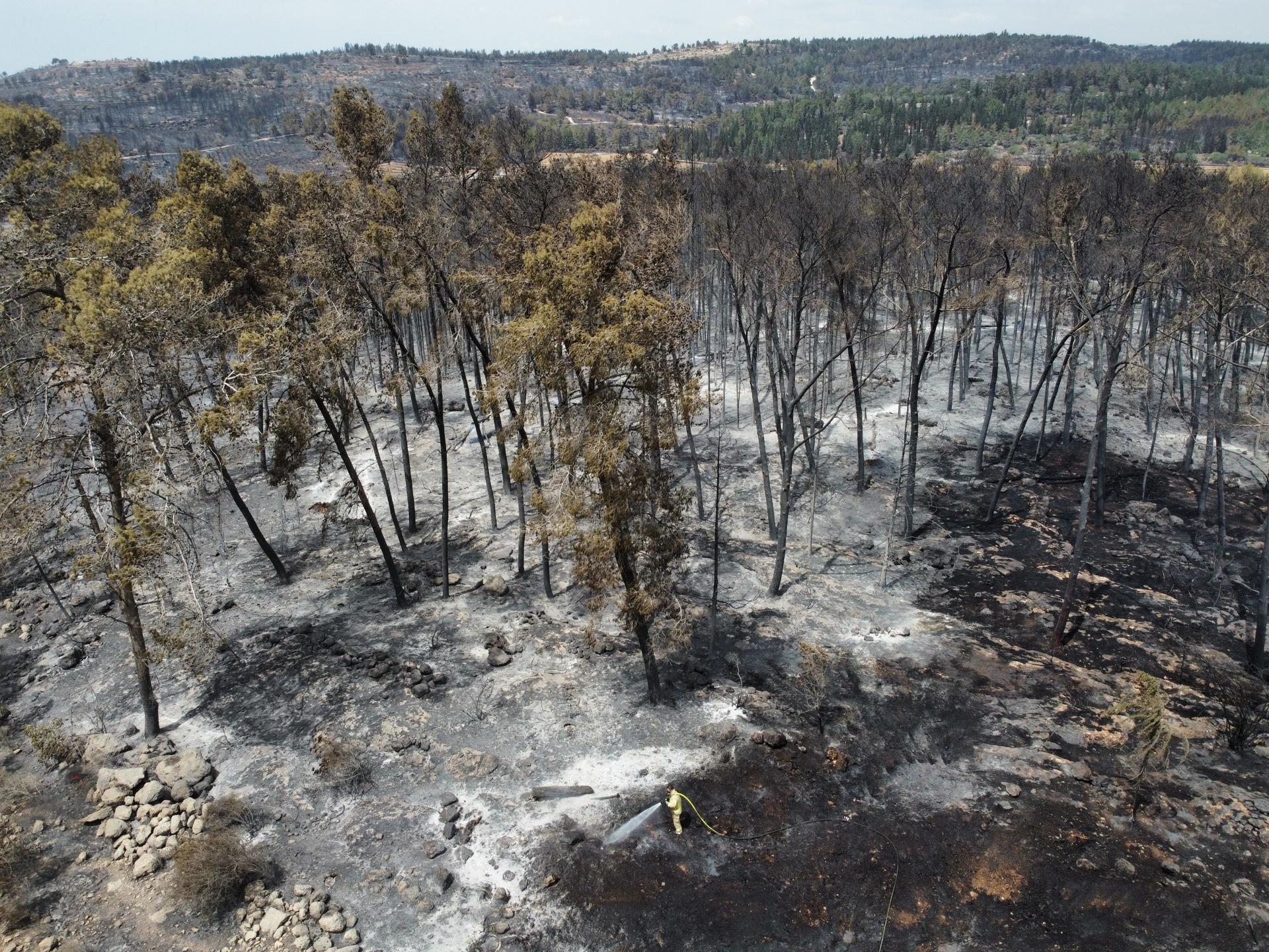 Los bomberos dan por controlado el gran incendio en los montes de Israel Los bomberos dan por controlado el gran incendio en los montes de Israel
