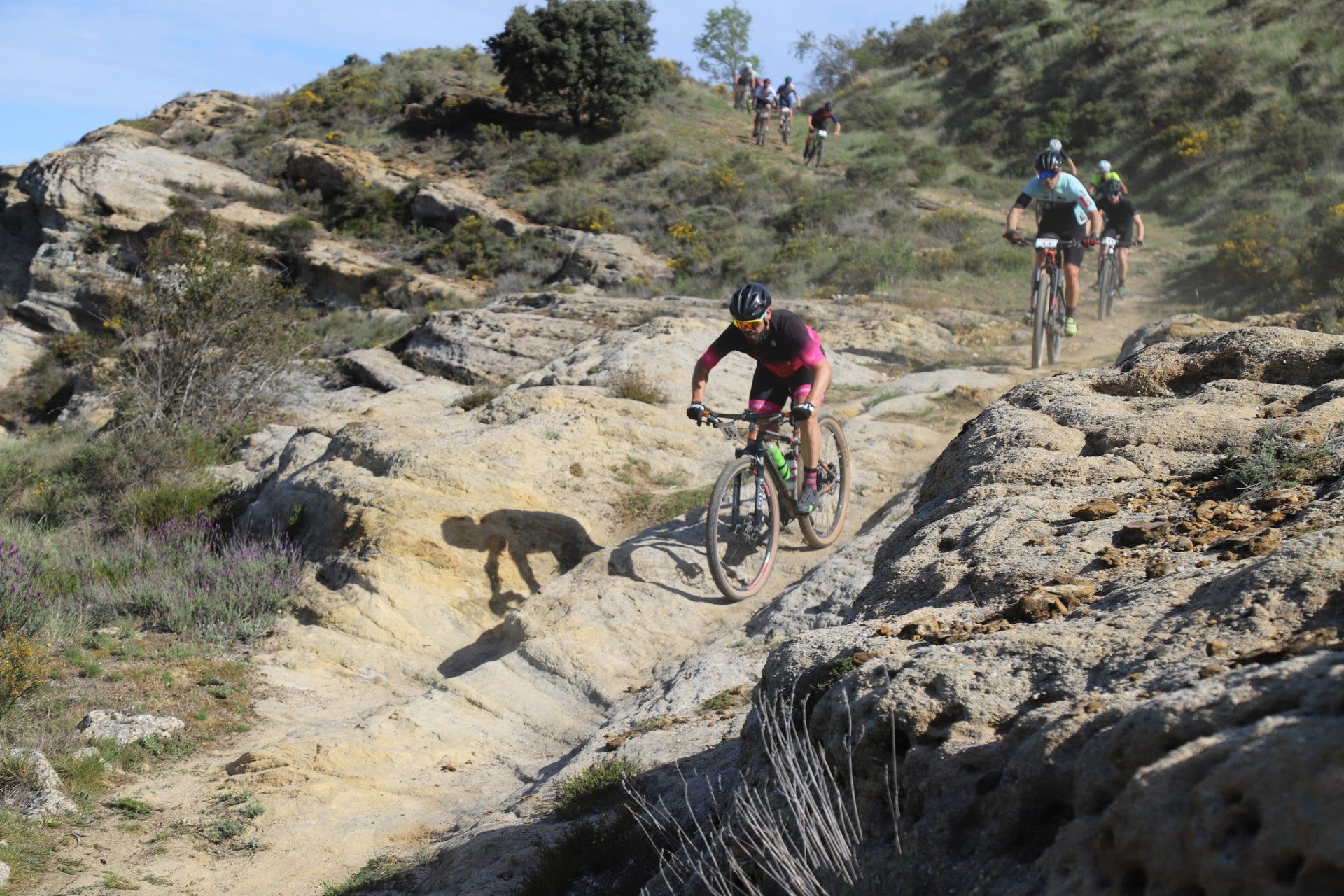 El 3 de mayo Aguilar acoge el VII Circuito de BTT “Diputación de Palencia” con la BTT “Puerta a la Montaña” El 3 de mayo Aguilar acoge el VII Circuito de BTT “Diputación de Palencia” con la BTT “Puerta a la Montaña”