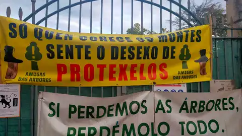 Agardando trece anos polo Consello Municipal de Medio Ambiente na cidade de Ourense Agardando trece anos polo Consello Municipal de Medio Ambiente na cidade de Ourense