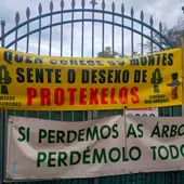 Agardando trece anos polo Consello Municipal de Medio Ambiente na cidade de Ourense Agardando trece anos polo Consello Municipal de Medio Ambiente na cidade de Ourense