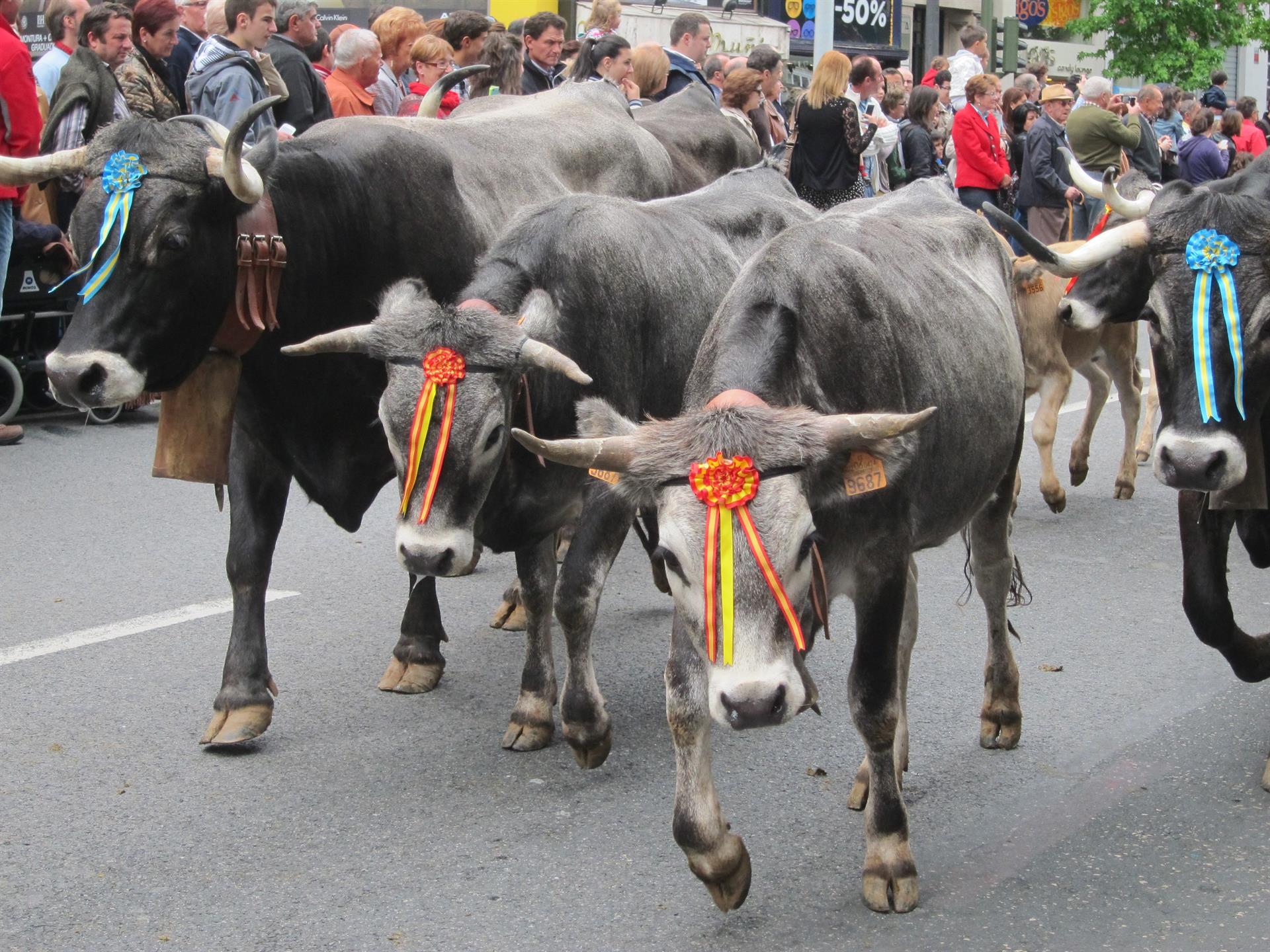 Santander se prepara para celebrar este sábado La Pasá que incluirá un mercado Santander se prepara para celebrar este sábado La Pasá que incluirá un mercado