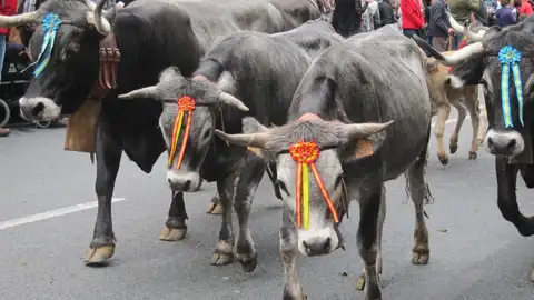 La Pasá en Santander en 2014 La Pasá en Santander en 2014