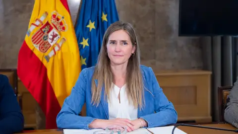 La vicepresidenta y ministra para la Transición Ecológica y el Reto Demográfico, Sara Aagesen, durante la primera reunión del Comité para el análisis de las circunstancias que concurrieron el 28 de abril durante el apagón La vicepresidenta y ministra para la Transición Ecológica y el Reto Demográfico, Sara Aagesen, durante la primera reunión del Comité para el análisis de las circunstancias que concurrieron el 28 de abril durante el apagón
