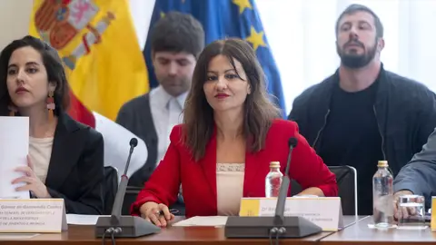 El Gobierno rebaja el tono: abierto a dialogar el reparto de menores migrantes La ministra de Juventud e Infancia, Sira Rego, durante la reunión del Pleno de la Conferencia Sectorial de Infancia y Adolescencia