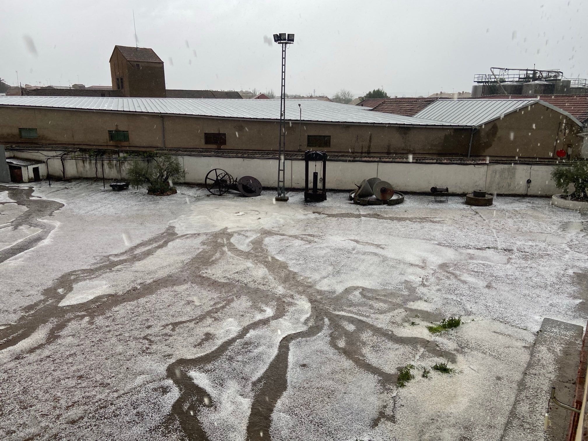 El granizo afectó sobre todo a olivar, viñedo y cereal en Ciudad Real El granizo afectó sobre todo a olivar, viñedo y cereal en Ciudad Real