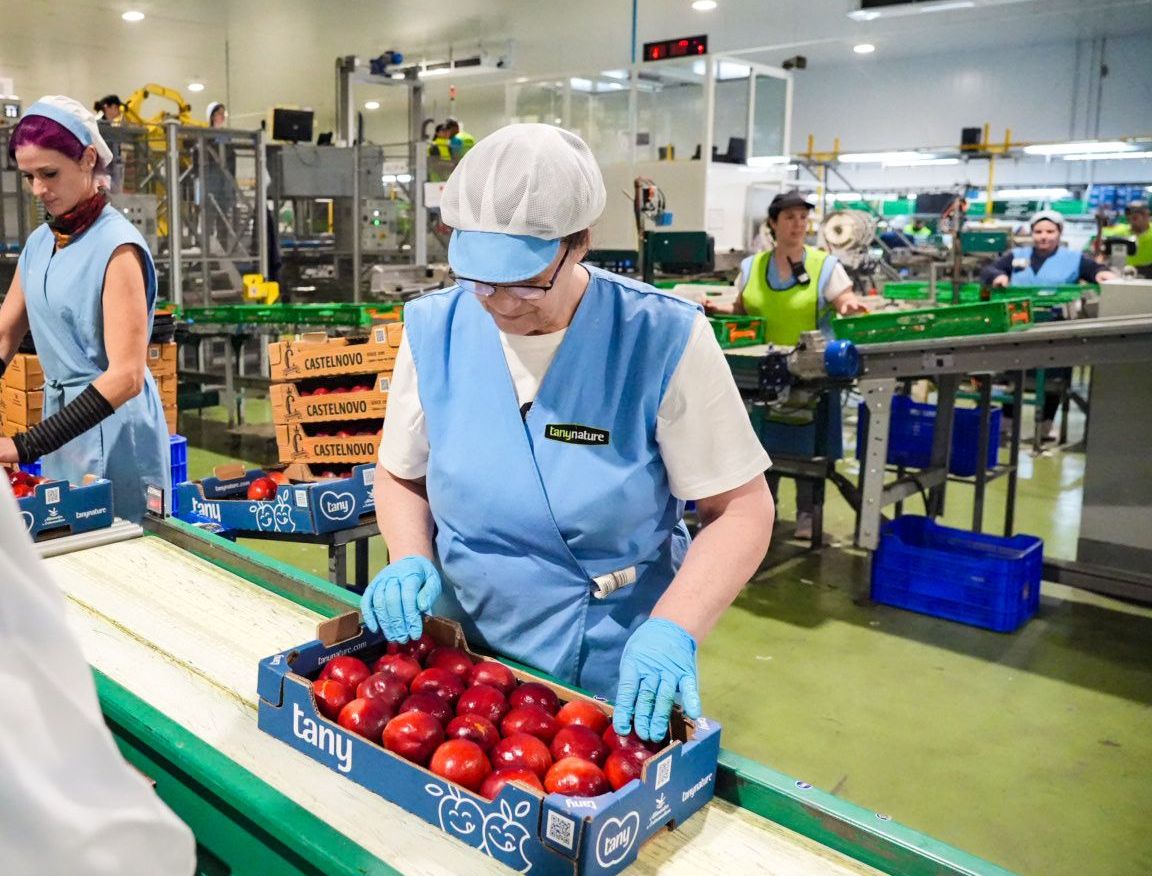 Extremadura está en riesgo de perder importantes fondos europeos por la nefasta ejecución del gobierno del PP denuncia el PSOE Extremadura está en riesgo de perder importantes fondos europeos por la nefasta ejecución del gobierno del PP denuncia el PSOE