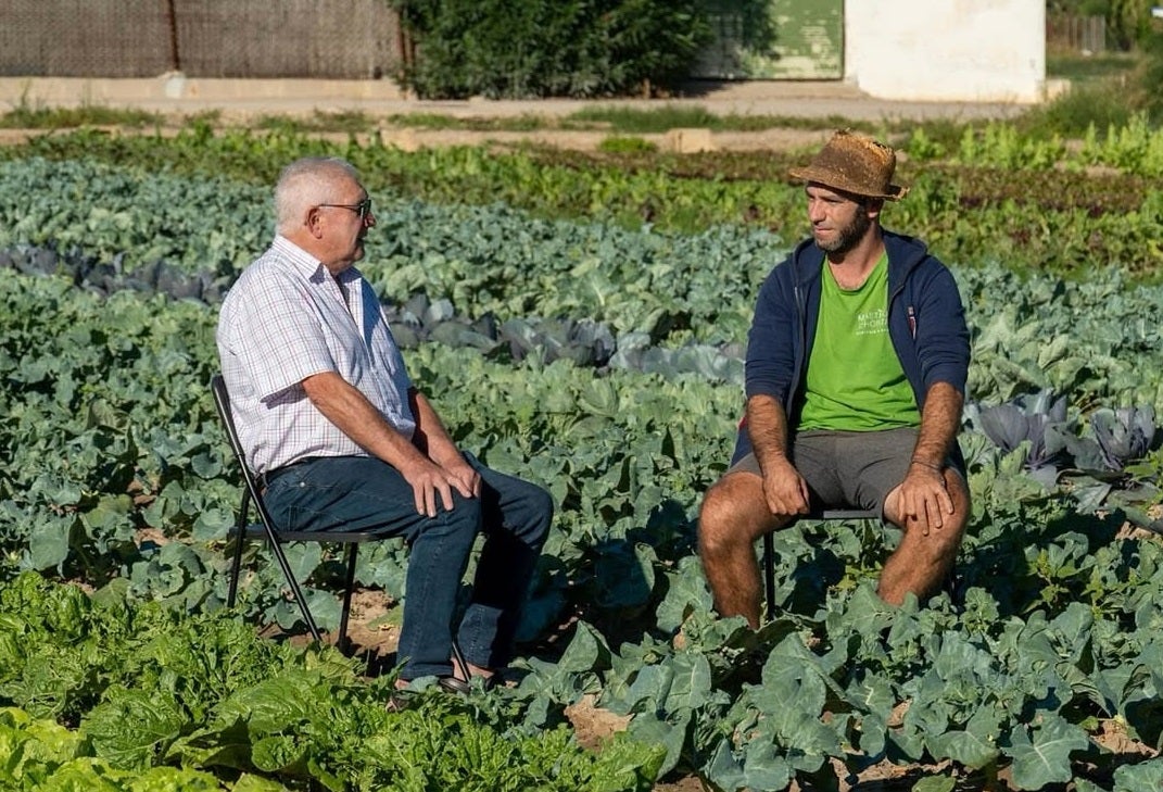 El campo valenciano, medio año después de la DANA: "Aún estamos en obras" El campo valenciano, medio año después de la DANA: "Aún estamos en obras"