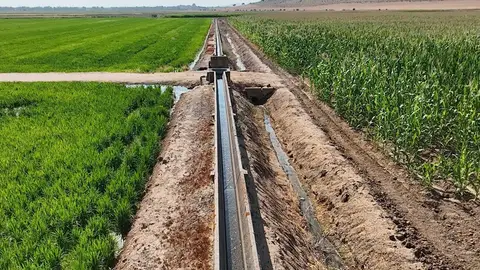 Sistema de riego Sistema de riego