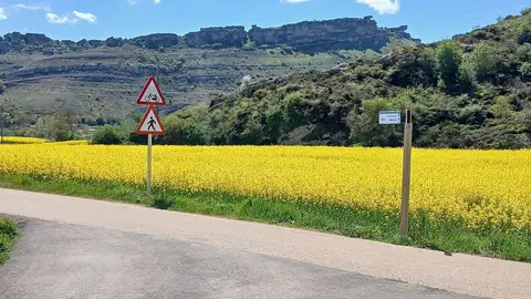Concluida la construcción de un itinerario ciclista entre el punto de información de Villaescusa y el centro de interpretación del Geoparque de las Loras .
