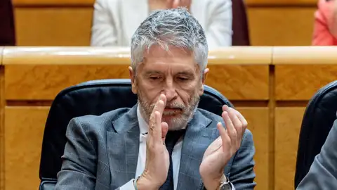 GEl ministro del Interior, Fernando Grande-Marlaska, durante una sesión de control al Gobierno en el Senado GEl ministro del Interior, Fernando Grande-Marlaska, durante una sesión de control al Gobierno en el Senado