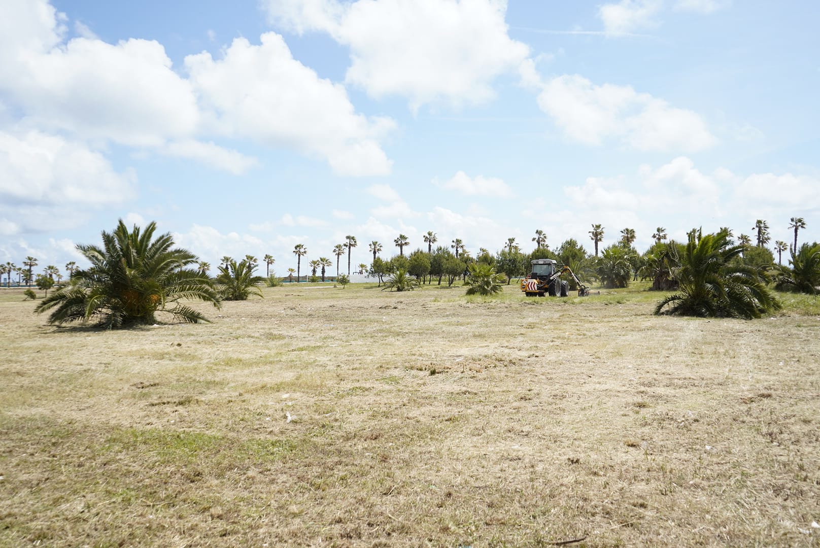 El Ayuntamiento de Burriana pone a punto las playas para el próximo verano El Ayuntamiento de Burriana pone a punto las playas para el próximo verano