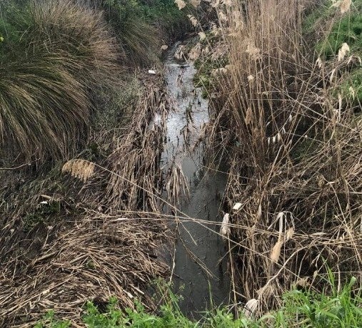 Más de uno Alcalá 06/05/2025 Más de uno Alcalá 06/05/2025