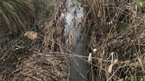 Arroyo Camarmilla a su paso por el Distrito II de Alcal&aacute; de Henares