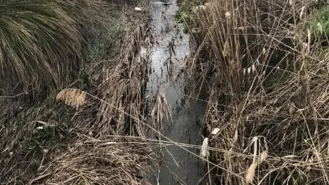 La Asociación de Vecinos Reyes II de Alcalá de Henares pide a la Confederación Hidrográfica del Tajo una actuación urgente sobre el cauce del arroyo Camarmilla a su paso por el Distrito II complutense Arroyo Camarmilla a su paso por el Distrito II de Alcalá de Henares