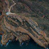  L’Alfàs promoverá la reforestación de sus zonas verdes gracias a un convenio con Reforest Projet 