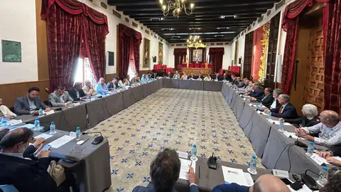 Primera reunión de la Mesa Local del Agua de Elche celebrada en el Salón de Plenos del Ayuntamiento. Primera reunión de la Mesa Local del Agua de Elche celebrada en el Salón de Plenos del Ayuntamiento.