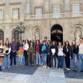 Diverses entitats han presentat al·legacions al reglament que permet l'ús de Taser a la Guàrdia Urbana