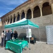 La Asociación Española contra el Cáncer celebra su cuestación anual con 19 mesas repartidas por la ciudad
