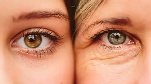 Un profesor de génetica de Harvar cuenta los hábitos que le ayudaron a revertir su edad biológica en 10 años Un profesor de génetica de Harvar cuenta los hábitos que le ayudaron a revertir su edad biológica en 10 años