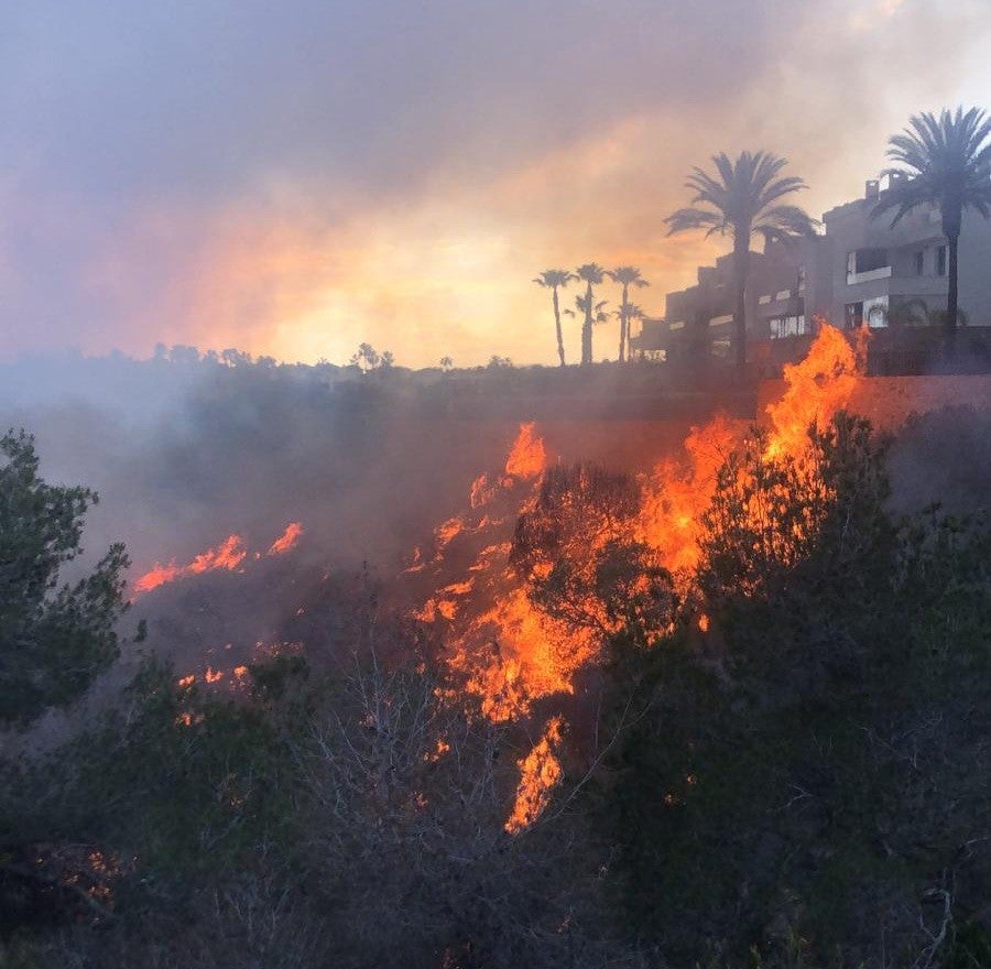 El incendio en Orihuela costa que obligó a desalojar a unos 50 vecinos ha calcinado tres hectáreas y afectado a cinco viviendas El incendio en Orihuela costa que obligó a desalojar a unos 50 vecinos ha calcinado tres hectáreas y afectado a cinco viviendas